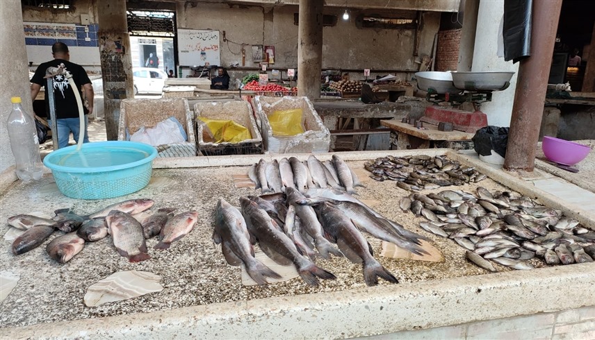 أحد محلات الأسماك في بورسعيد (إكس)