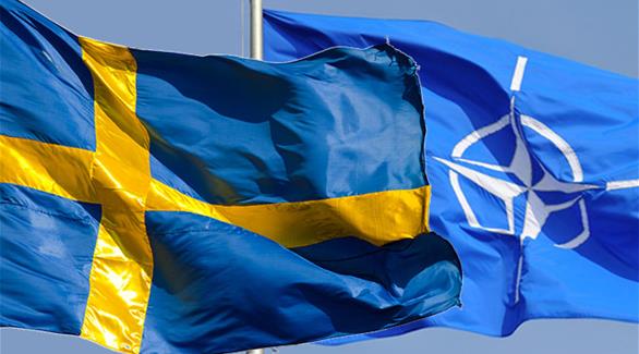 علما السويد وحلف الأطلسي(أرشيف)