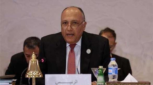 وزير الخارجية المصرية سامح شكري(أرشيف)