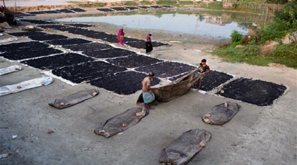 بنغاليون يُجففون الفحم لاستعماله في المصانع (أرشيف)