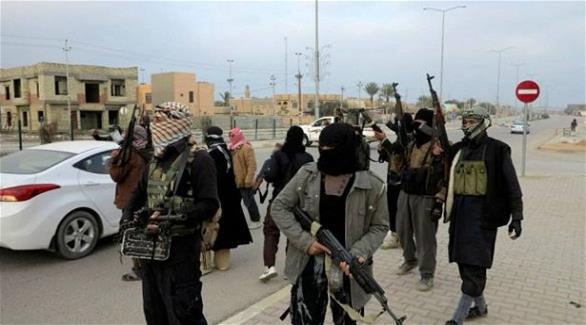 عناصر من تنظيم داعش الإرهابي (أرشيف)