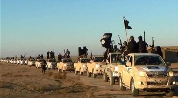 قافلة لمسلحي داعش على الحدود العراقية السورية (أرشيف)