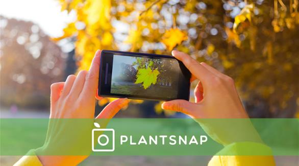 تطبيق "بلانت سناب" للتعرف على النبات وكل ما يتعلق به علمياً