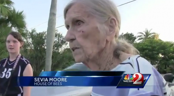 سيفا مور لم تكن تعلم بوجود هذه الكمية الضخمة من النحل بمنزلها
