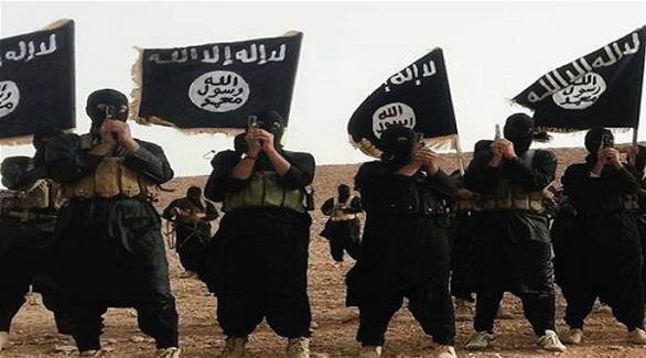 مقاتلون من تنظيم داعش (أرشيف)