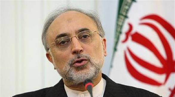 رئيس منظمة الطاقة الذرية الإيرانية علي أكبر صالحي (أرشيف)