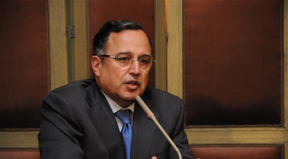 وزير الخارجية المصري نبيل فهمي (أرشيف)