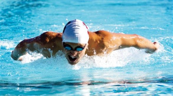 السباحة الإماراتية مقبلة على مشاركات مهمة
