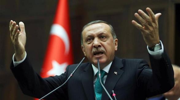 أردوغان: مخاوف من تزايد استبداده