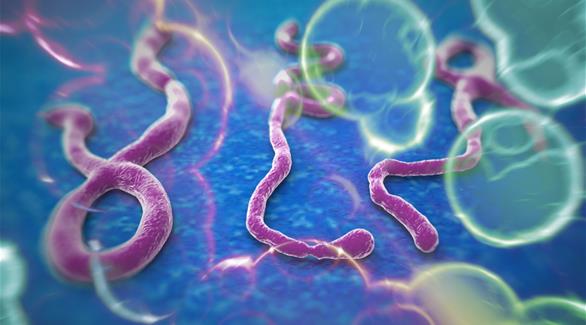فيروس ايبولا يحصد المزيد من الأرواح