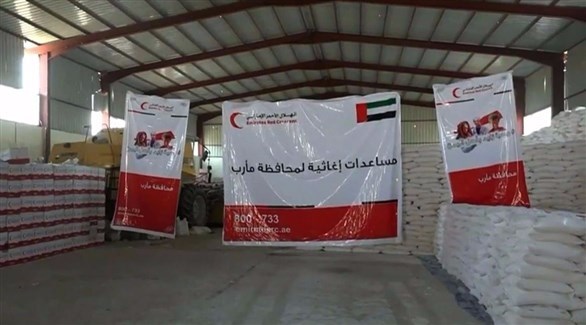 صورة للمساعدات الإماراتية إلى اليمن (أرشيف)