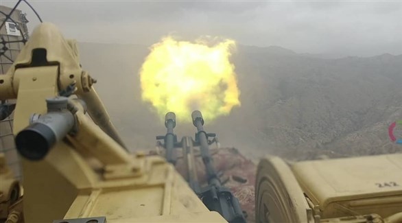 مدفعية للجيش اليمني في الضالع (أرشيف)
