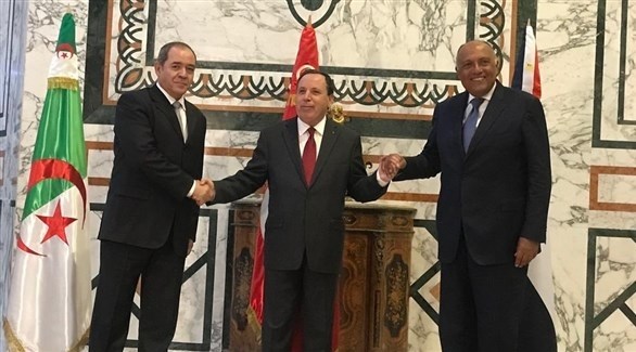 الوزراء خلال الاجتماع (الخارجية المصرية)