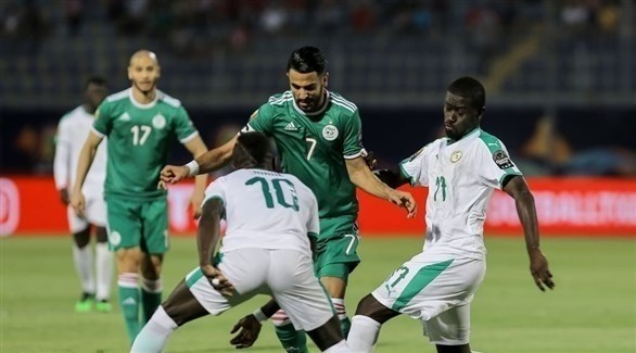 الجزائر والسنغال (24- محمود العراقي)