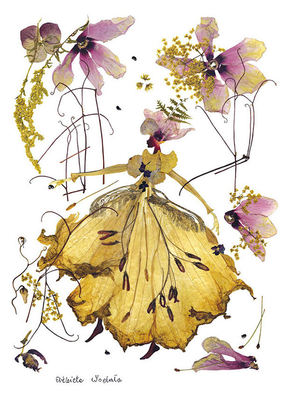 dried-pressed-flower-art-florotypie-elzbieta-wodala-27__605.jpg