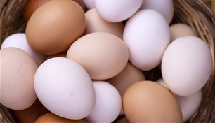 هل تناول البيض يمثل خطراً على القلب؟