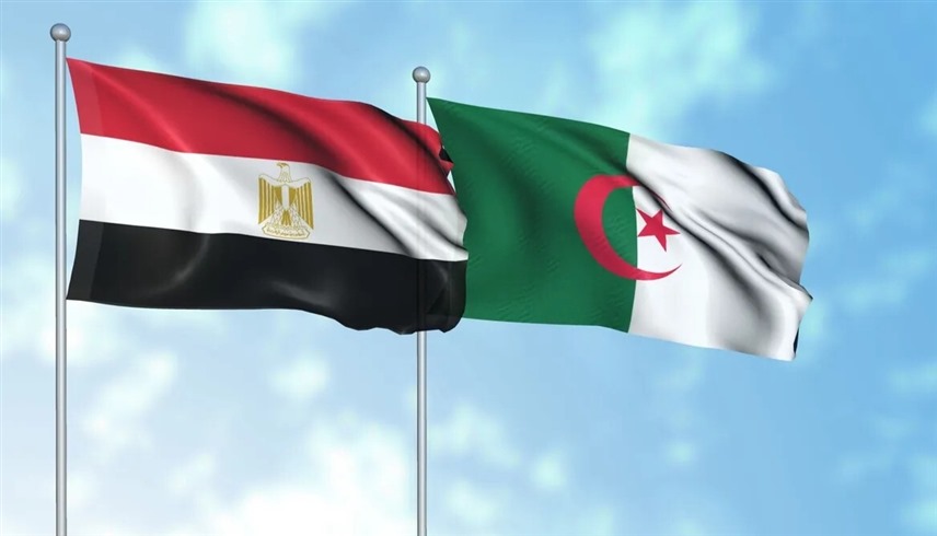 علما مصر والجزائر (أرشيف)
