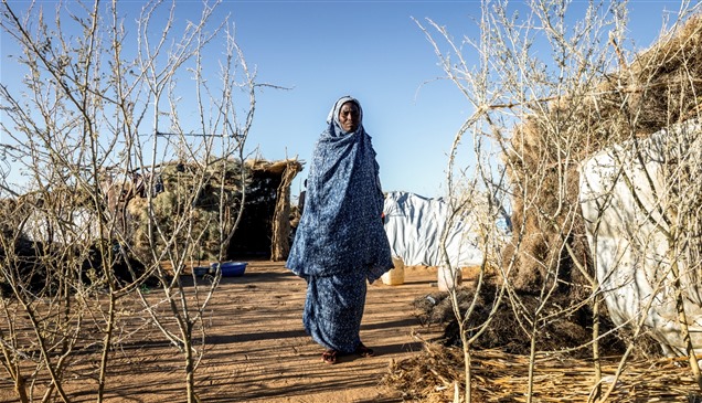 السودان.. من ساحات القتال إلى أروقة المحاكم الدولية