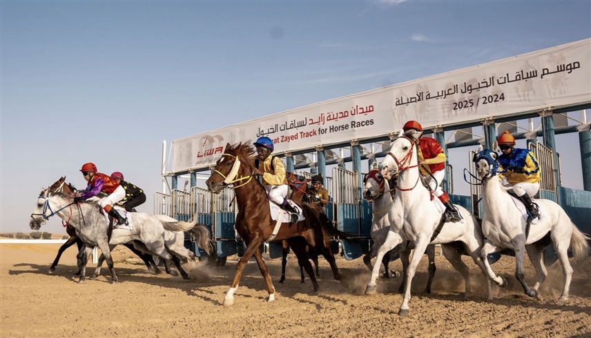 من المنافسات (وام)