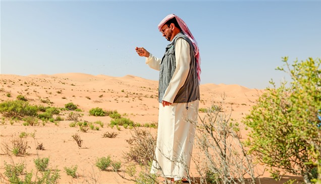 "بيئة أبوظبي" تستكمل نثر 6.5 مليون بذرة محلية لتعزيز الغطاء النباتي في المحميات الطبيعية