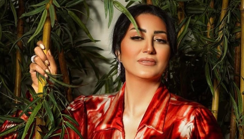 وفاء عامر "أرشيفية"