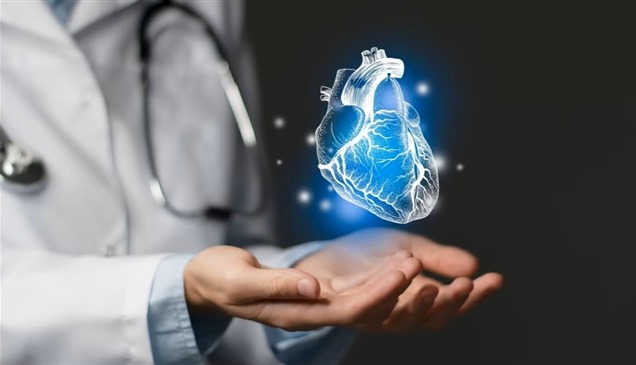دراسة: دهون البطن تسرّع شيخوخة القلب