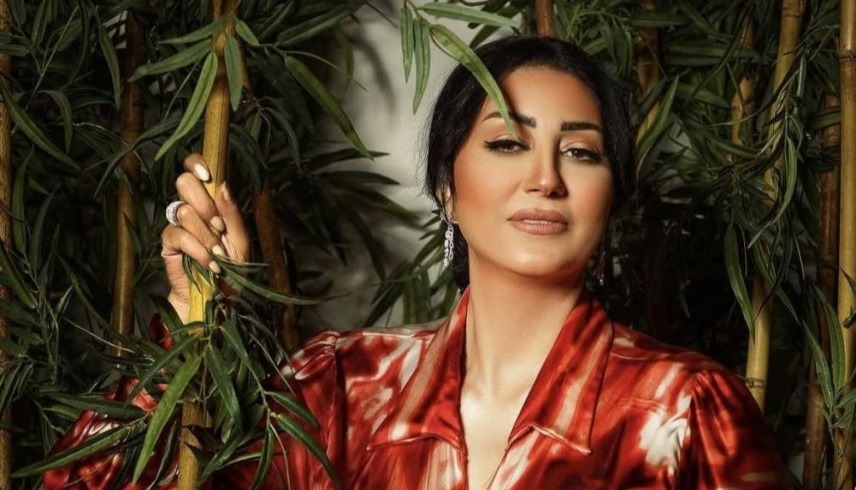 وفاء عامر "أرشيفية"