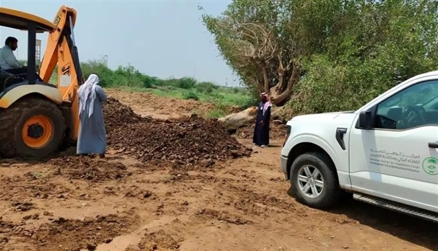 السعودية: إنقاذ شجرة معمرة تعرضت للسقوط بسبب الأمطار الغزيرة