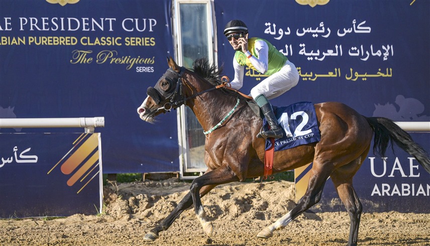 من المنافسات (وام)