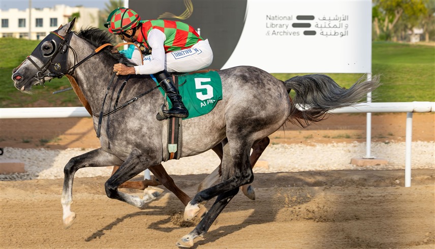 جانب من سباقات الخيول العربية الأصيلة في مضمار نادي العين للفروسية (وام)