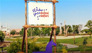 بين زئير الأسود وجمال الطبيعة.. "سفاري دبي" تقدم تجربة إفطار استثنائية