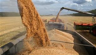 تراجع صادرات الحبوب يدفع روسيا لبحث تعليق الرسوم