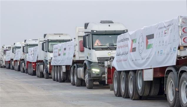 دخول 75 شاحنة مساعدات إماراتية إلى غزة 