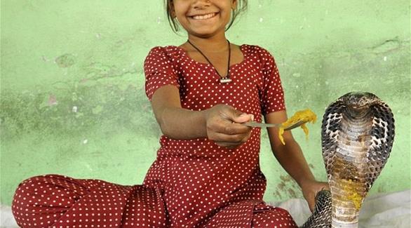 متفرقات : بالصور... طفلة هندية تتخذ من الأفاعي حيوانات أليفة