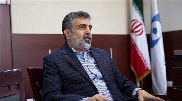 المتحدث باسم المنظمة الإيرانية للطاقة الذرية بهروز كمالوندي (أرشيف)