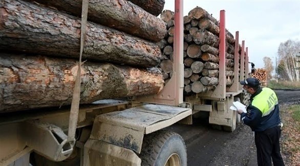 تصدير الأخشاب من روسيا (أرشيف)