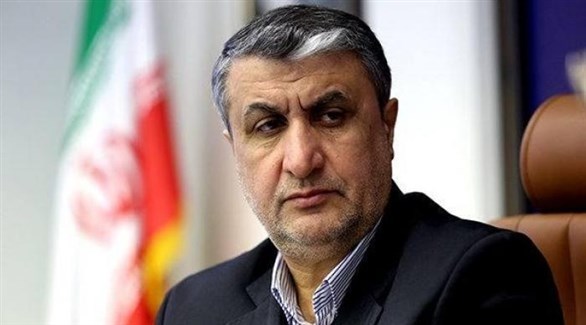 رئيس منظمة الطاقة الذرية الإيرانية محمد إسلامي (أرشيف)