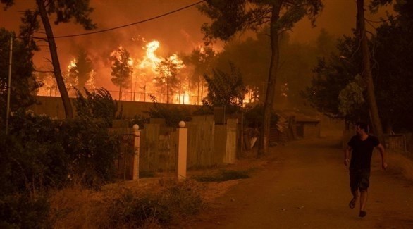اندلاع حرائق في الغابات بالجزائر (رويترز)