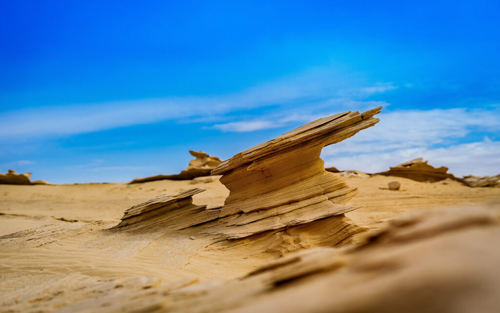 Fossil-Dunes-Abu-Dhabi-Body-AR23092021.j